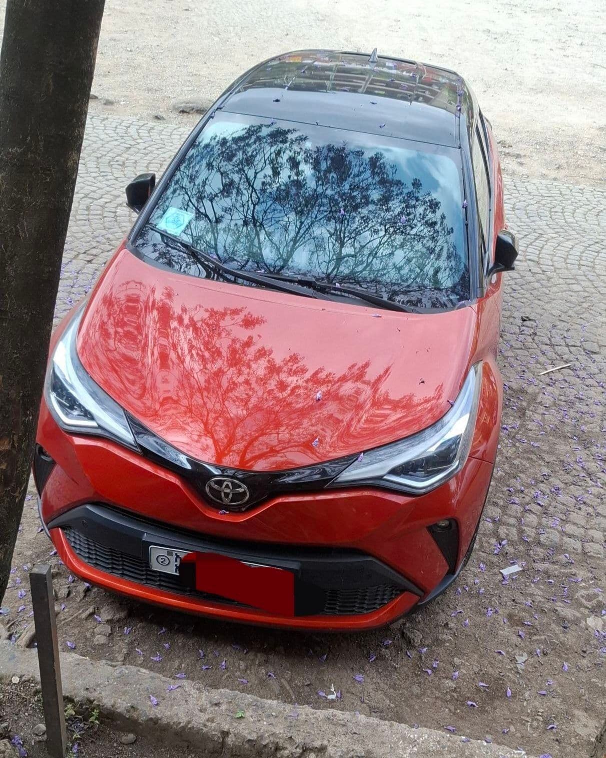 Toyota C-HR Europe 