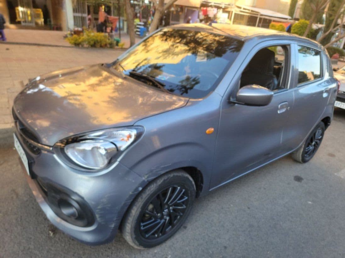 Suzuki celario