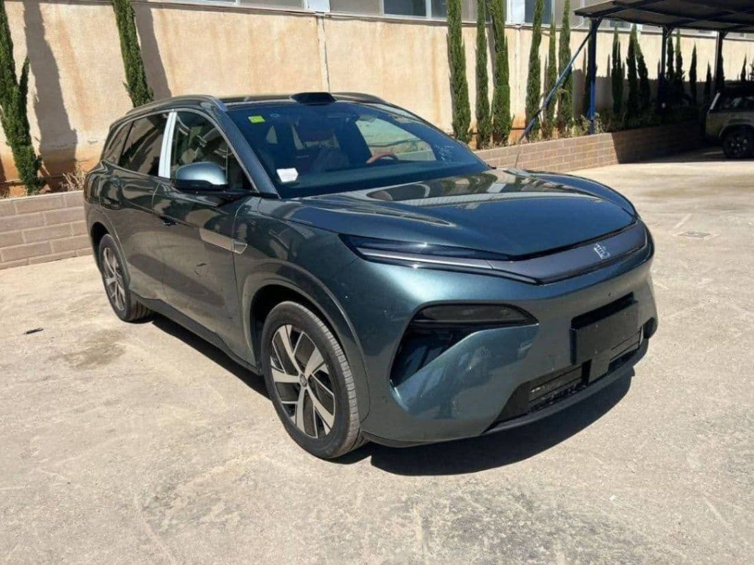 Tang l ev 2025