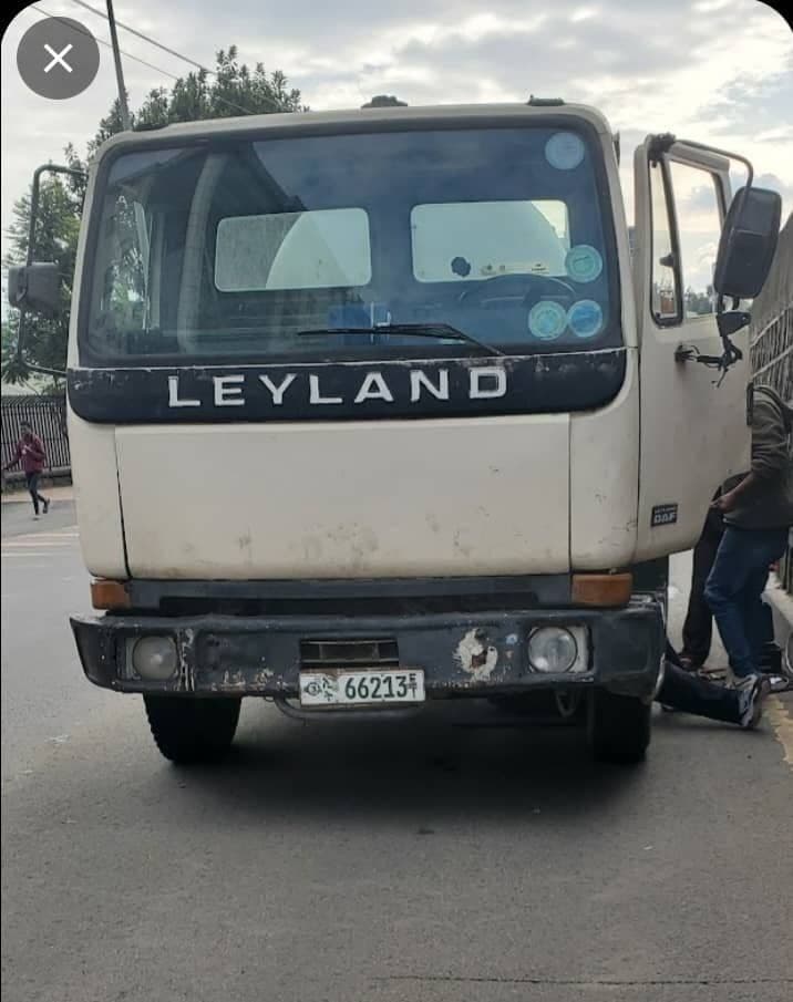 ዳፍ ለይላንድ , photo 1 of 1
