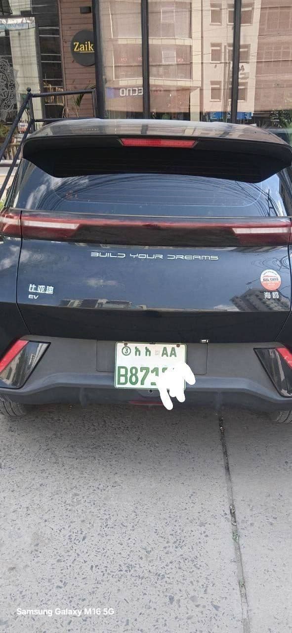 Byd Seagull , photo 3 of 3