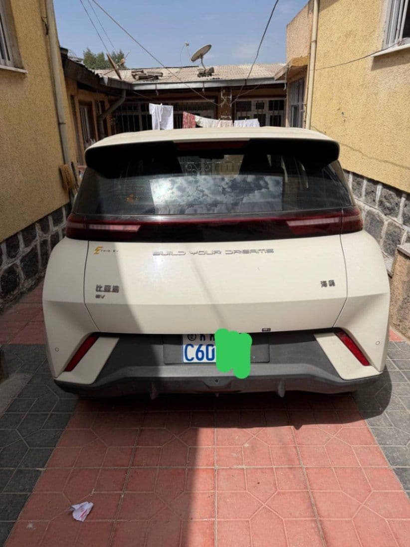 BYD seagull 