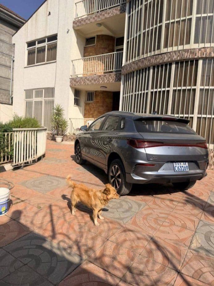 Byd E2, photo 4 of 4
