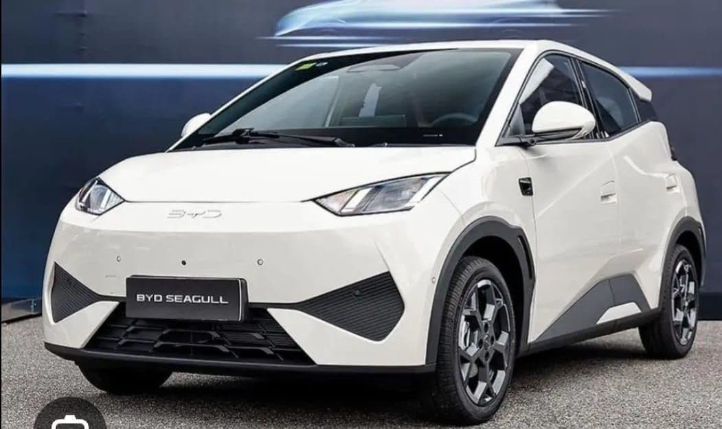 BYD SEAGUL SMART 2025, photo 1 of 1