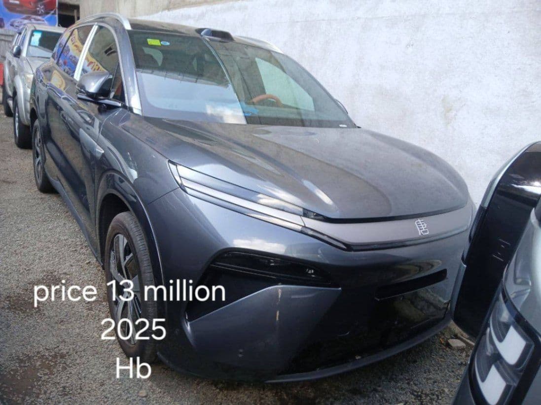 Byd tagi L 2025