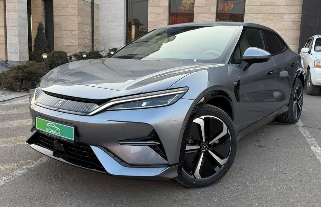 Byd song l ev 2025, photo 1 of 4