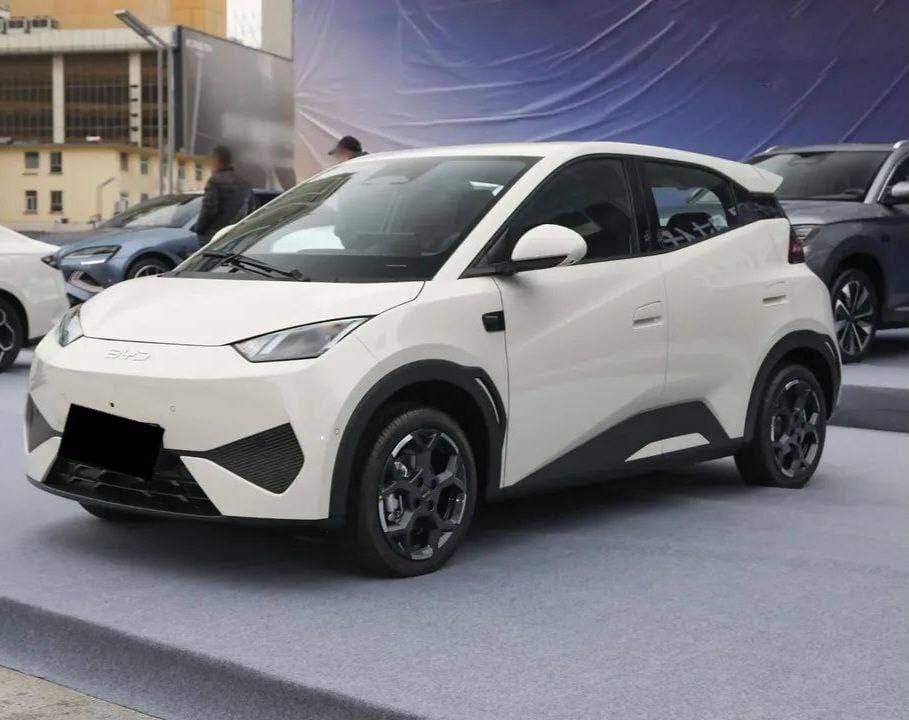 BYD Seagull Smart Drive 05/ 2025 , photo 4 of 6