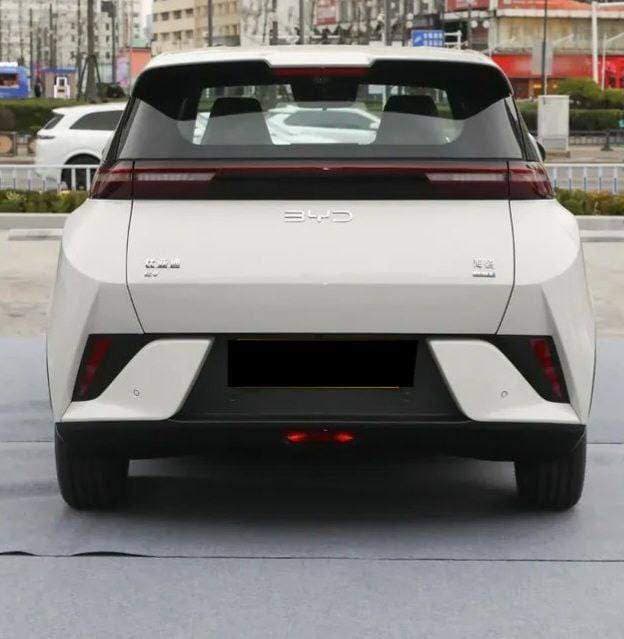 BYD Seagull Smart Drive 05/ 2025 , photo 6 of 6